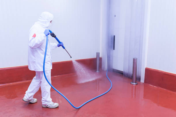 Best Boat and Dock Cleaning  in Piermont, NY